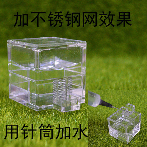 施王蚁馆 亚克力宠物蚂蚁方形昆虫喂水器圆形爬虫喂水器 - 图0