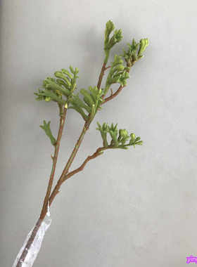 琴艺仿真花仿真花 袋鼠爪 黄色红色 小众花材 花艺师插花 家居装