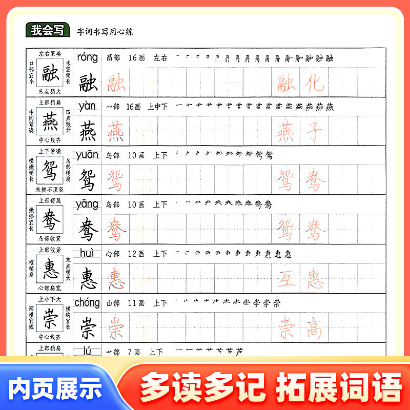 阳光同学写好规范字一二三四五六年级上下册语文人教部编版教材同步练字贴辅导题笔顺笔画描红临摹字帖练习题册默写能手正楷
