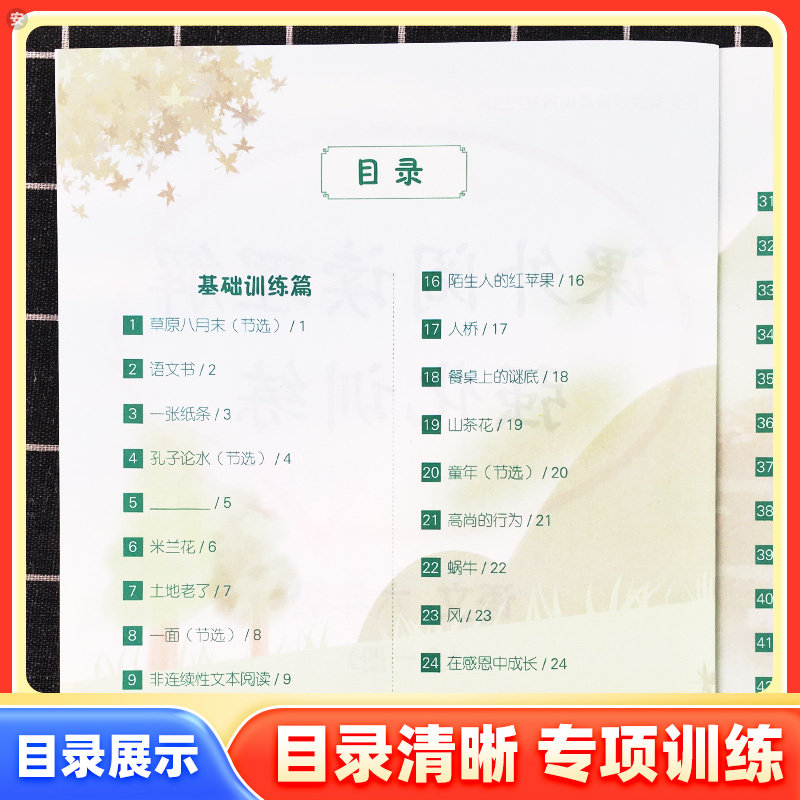 阅读理解专项训练书人教版三年级二年级一年级上下册全一册四五六年级课外强化训练语文每日一练真题100篇看图写话答题技巧阅读