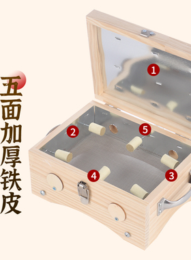 挚艾长方形艾灸盒木制6针随身灸