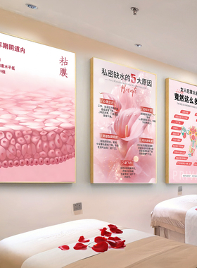 私密保养海报挂画妇科宣传广告图