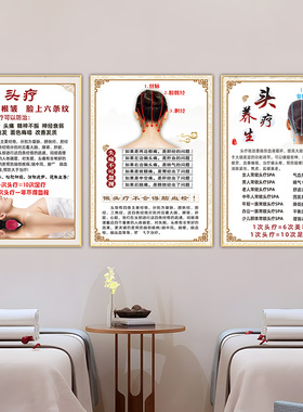 头疗广告海报禅洗挂画头皮宣传画