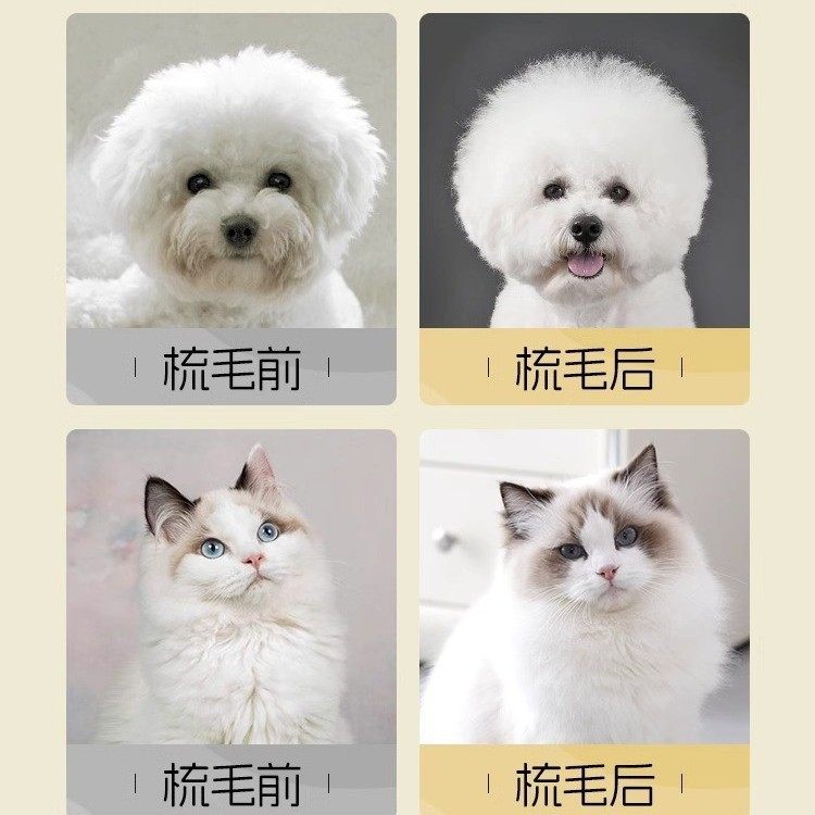 专业美容拉毛梳方头梳子宠物毛刷狗毛猫咪针梳神器宠物清洁用品,淘宝优惠券,粉丝福利购,淘宝优惠卷