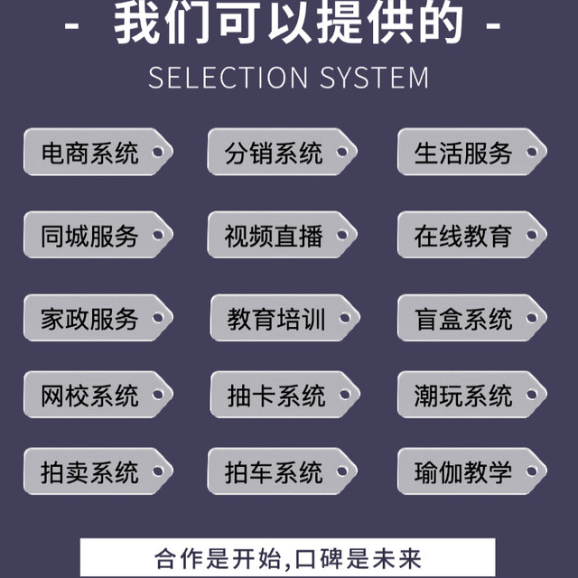 Vehicle bidding and auction mall system development, construction and deployment