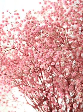 满天星干花摆放客厅卧室艺术