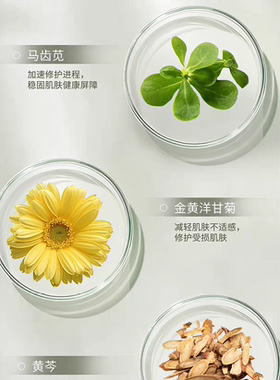 花瓣日记香氛护手霜清爽滋润