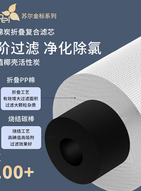 苏尔10寸通用滤芯PP棉前置碳烧结碳后置碳Ro反渗透净水器直饮水机