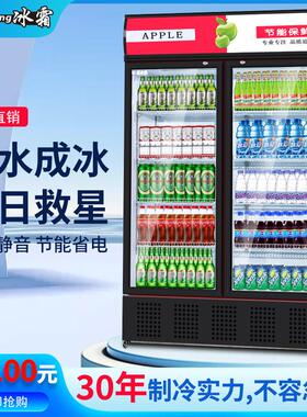 冰霜饮料展示柜冷藏单双开门冰箱商用啤酒水柜超市保鲜柜立式冰柜
