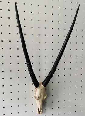 墙饰挂饰壁饰羊头骨摆件挂件壁挂复古欧式创意动物墙壁饰品羊头