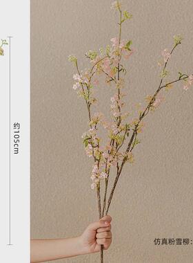 雪柳玻璃客厅插花花瓶摆件透明水养水培轻奢高马醉木感大