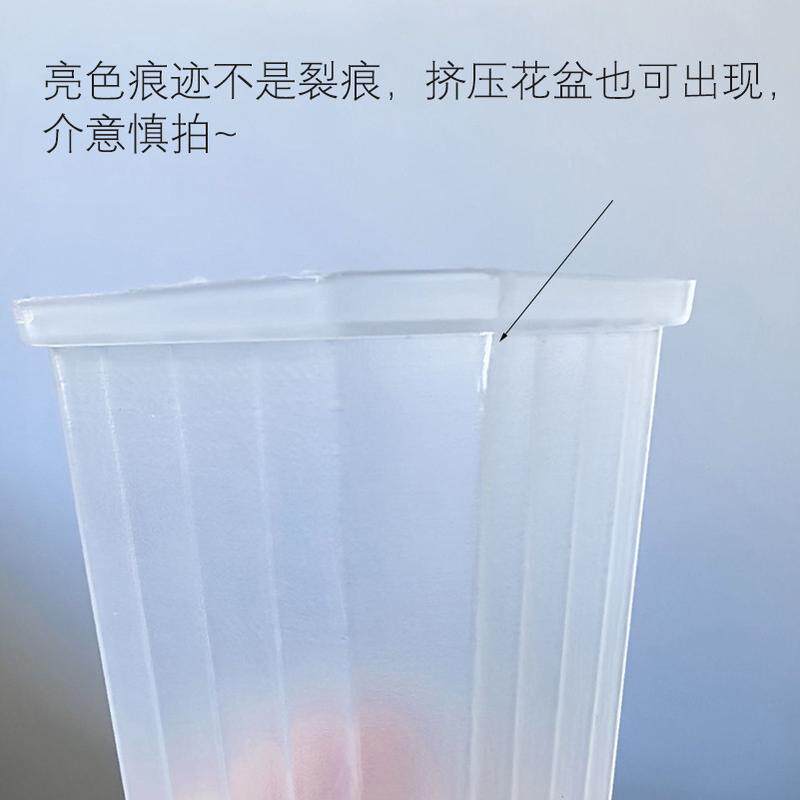 ll新品暮光盆 多肉彩色塑料花盆 透明半透阳台玉露景天生石花十二,淘宝优惠券,粉丝福利购,淘宝优惠卷