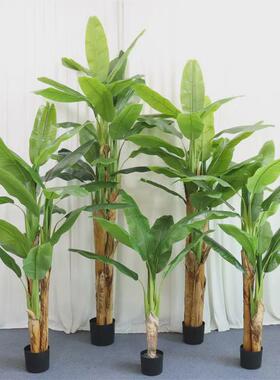 室内卉仿真绿植大型芭蕉树落地盆景工程植物造景香蕉树批发艺假树