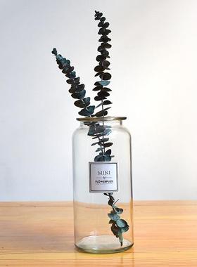 水培器皿创意玻璃花盆水养植物瓶透明花器绿萝白掌花瓶正方形容器