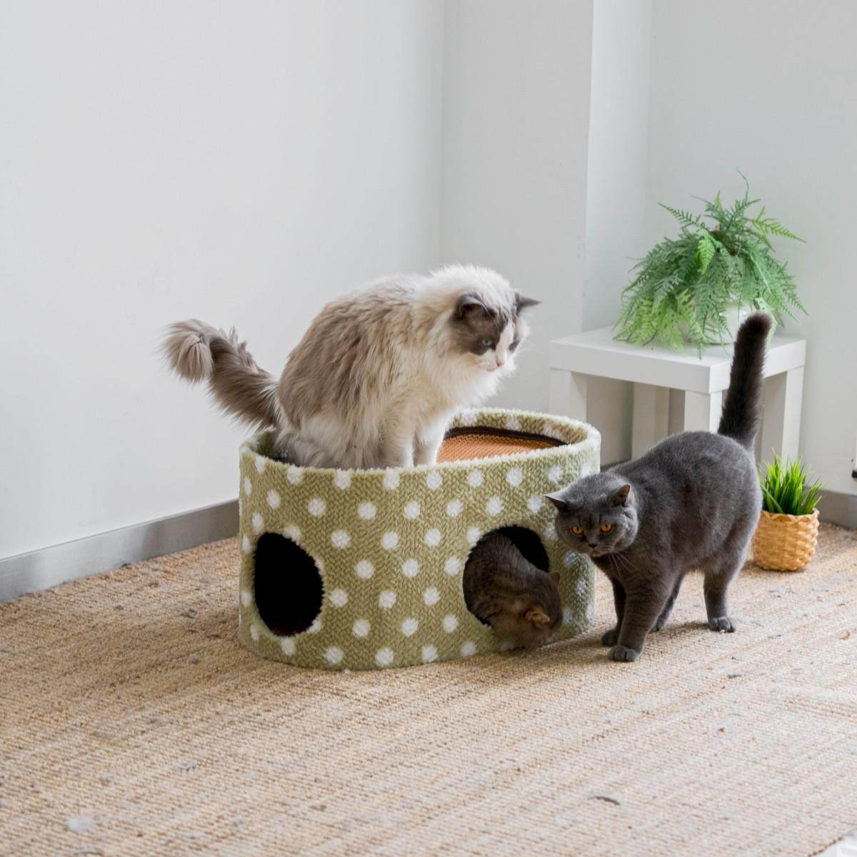 猫窝猫树猫爬架一体剑麻磨爪子猫抓板豪华四季垫子拆洗猫房子猫屋,淘宝优惠券,粉丝福利购,淘宝优惠卷