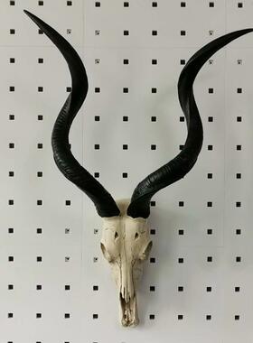 壁挂仿古羊头骨墙饰欧式立体墙贴创意羊头挂饰墙面壁挂饰家居饰品