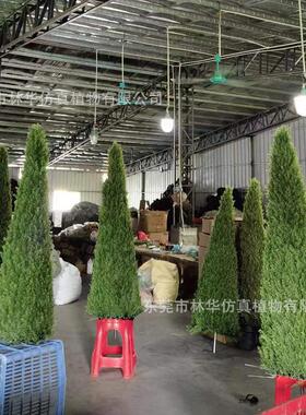仿真松柏树锥形仿真松柏婚庆布置仿真绿植批发家居酒店装饰植物
