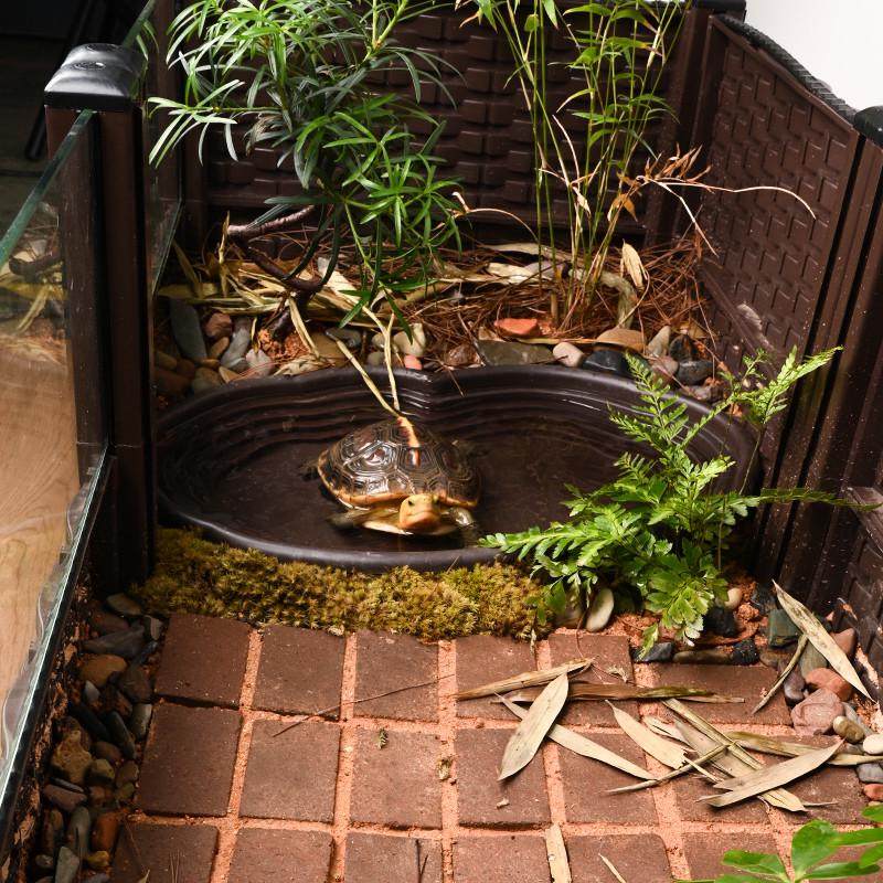 黄缘龟专用箱半生态造景绿植物缸带水盆轮子可移动超大缸,淘宝优惠券,粉丝福利购,淘宝优惠卷