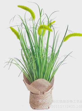 仿真狗尾巴草苇草室内仿真芦绿植盆栽盆栽北欧仿真植物装饰摆件