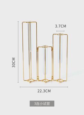 网红高档简约花架金属试管透明花架简约现代家居创意花艺水培插花