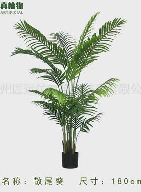 仿真绿植大型葵树盆栽散尾葵塑胶仿真树人造凤尾葵天竺葵假绿植
