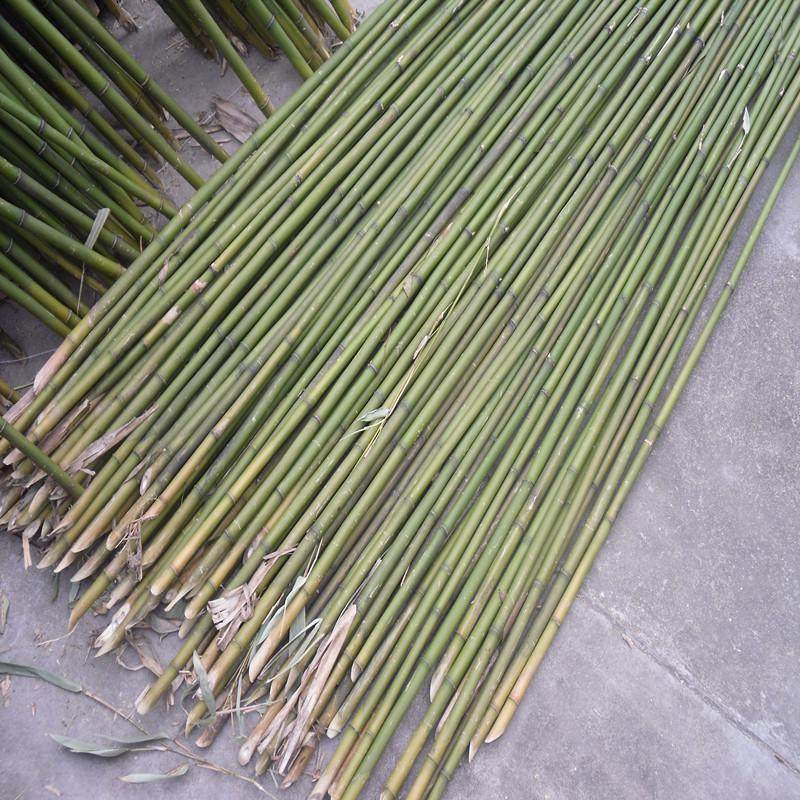 竹竿菜园搭架蔬菜爬藤竹杆豆角杆黄瓜竹子杆彩旗架篱笆栅栏细竹子,淘宝优惠券,粉丝福利购,淘宝优惠卷