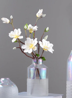 连翘鲜枝泡水开真花水养寸寸金枝插花瓶干树枝柳枝干花包遇水开花
