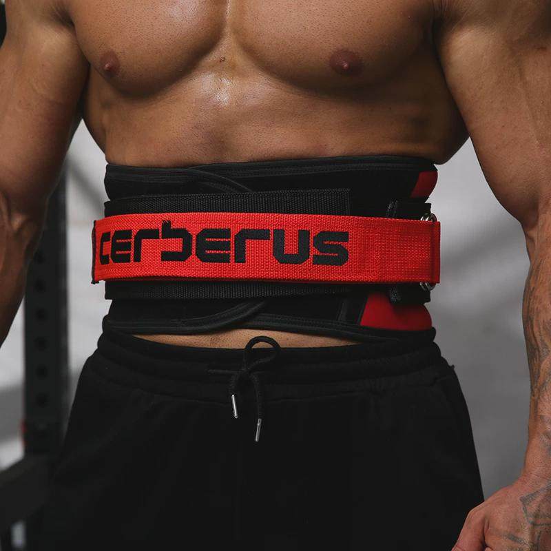 地狱犬健身护腰带专业器械保护负重支撑运动深蹲硬拉训练束腰护具,淘宝优惠券,粉丝福利购,淘宝优惠卷