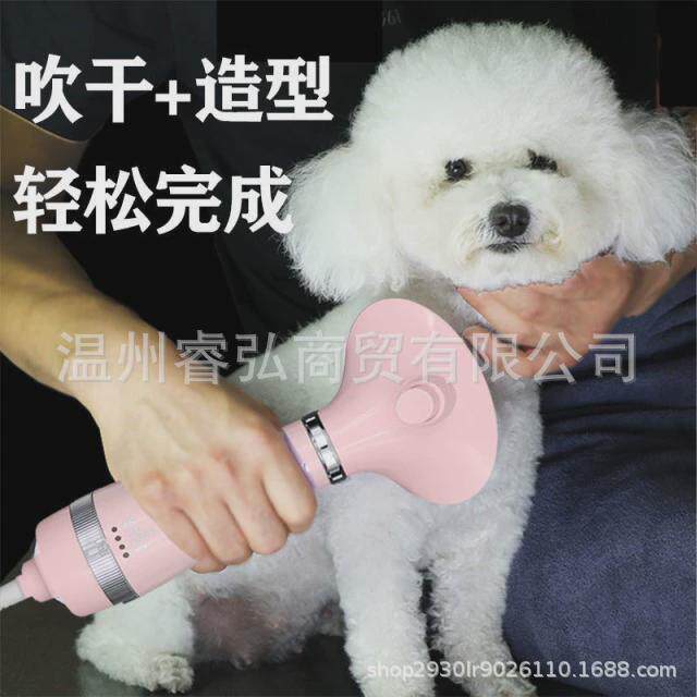 二合一宠物热风梳宠物吹风机吹毛拉毛清洁猫狗宠物吹风梳宠物梳子,淘宝优惠券,粉丝福利购,淘宝优惠卷