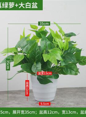 室内外人造绿植仿真绿萝叶盆栽假花塑料落地盆景隔断花槽装饰花卉