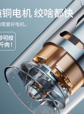 110V/220V多蒙绞肉机家用电动小型料理打肉切碎菜馅欧英美规跨境