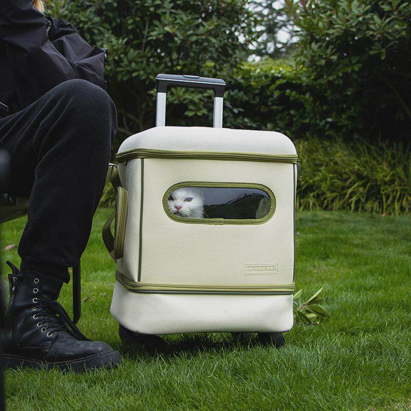 折叠猫包大容量帆布宠物拉杆箱猫咪小型犬外出通用便携拉杆宠物包,淘宝优惠券,粉丝福利购,淘宝优惠卷