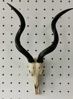 墙饰挂饰骨羊头壁饰摆件挂件壁挂复古欧式创意动物墙壁饰品羊头