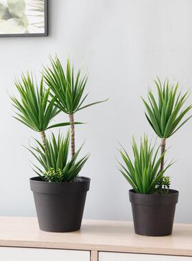 创意室内桌面假花仿真绿植装饰摆件家居茶几植物盆栽仙人掌盆景