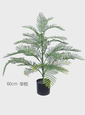 仿真蓝花楹客厅大型落地植物装饰盆栽摆件室内轻奢绿植仿生花假树
