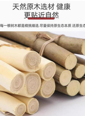 树枝DIY小木棍手工制作天然干枯树枝环创材料幼儿园松果教室布置