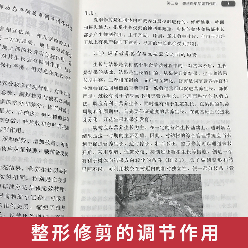 正版书籍梨树四季修剪图解 梨树高产管理专业书籍梨树种植技术大全 梨树栽培技术 新农业林业水果种植技术图书籍 化学工业出版社