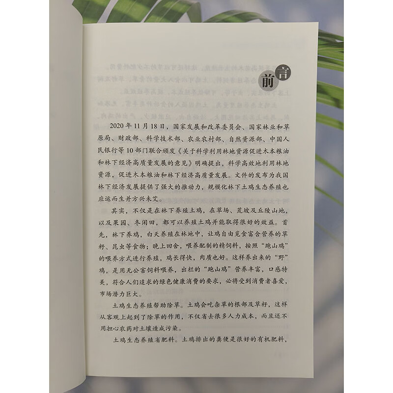 土鸡生态养殖与防疫技术 林下鸡跑山鸡绿色养殖技术指导书籍 土鸡选种 选育 草地草地建植设施建设 饲料补充配制 饲养管理技术指导