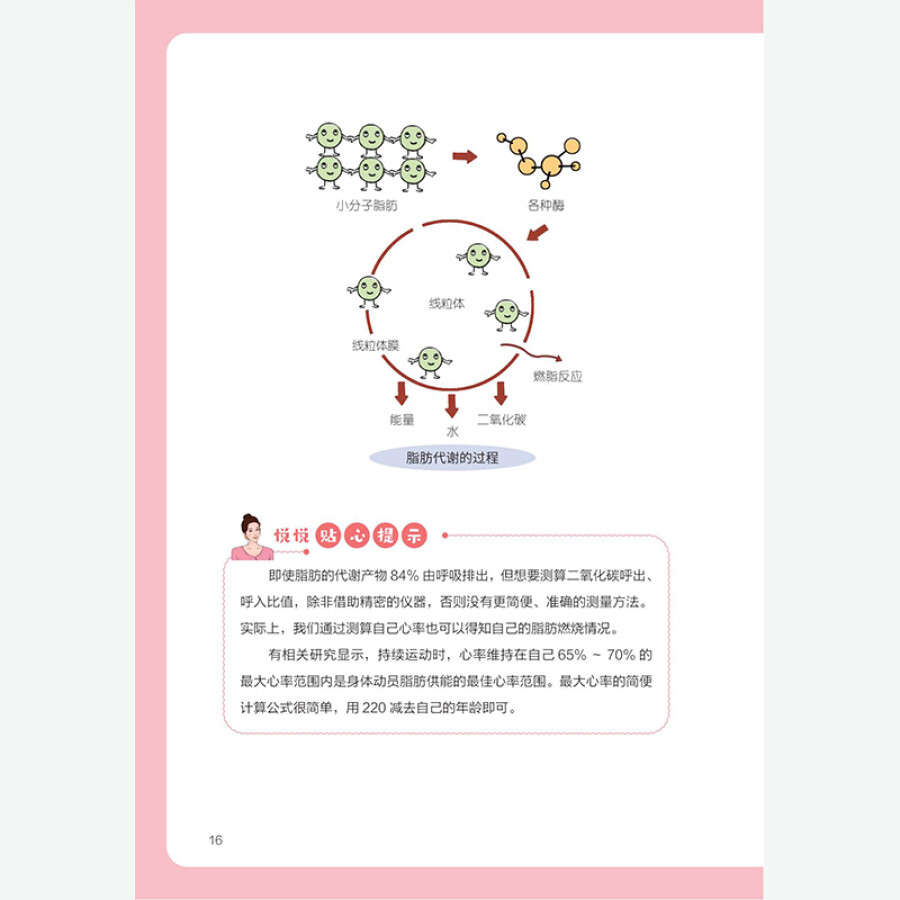 正版书籍 21天减8斤 大医生说不挨饿的减肥秘籍 饮食营养食疗 提升减肥效率科学实现21天瘦8斤 20多位专家 助力减肥 营养师书籍 - 图2