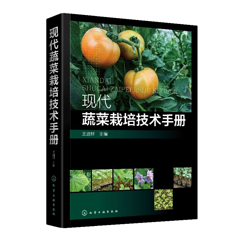 正版现代蔬菜栽培技术手册农作物栽培书籍蔬菜高效栽培技术书现代无公害蔬菜种植管理关键技术蔬菜病虫害图谱防治化学工业出版社-图0