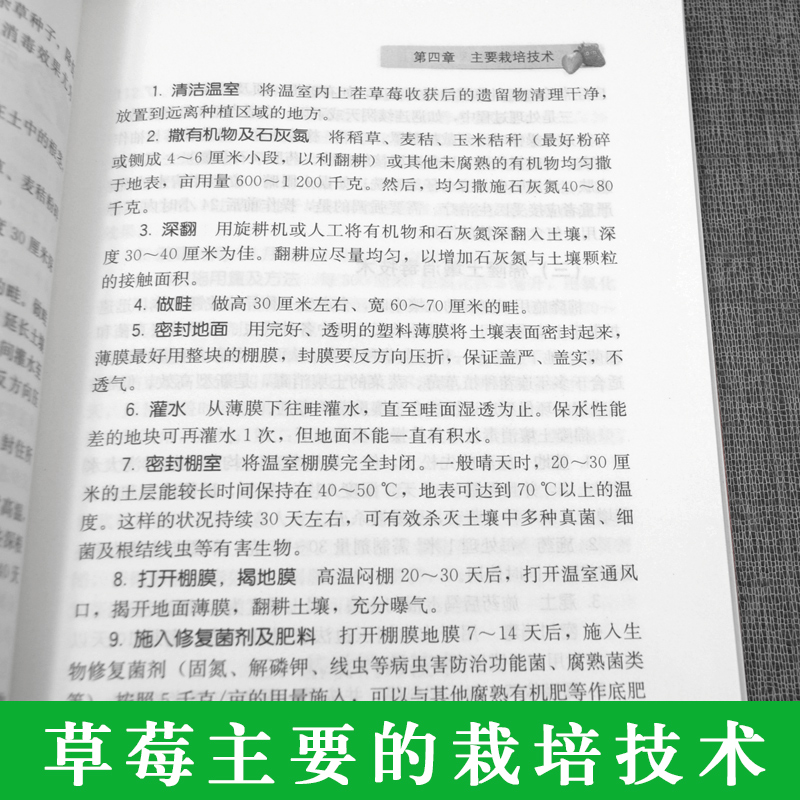 草莓生产精细管理十二个月草莓育苗栽培管理栽培新技术草莓高效栽培与病虫害防治技术大全草莓苗栽培现代农业书籍大棚草莓种植技术