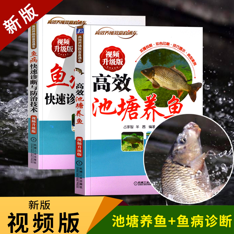 养鱼技术书 高效池塘养鱼+鱼病快速诊断与防治+淡水鱼高效养殖 科学养鱼技术大全书籍淡水鱼养殖书籍水产养殖书生态养鱼技术教程书 - 图1