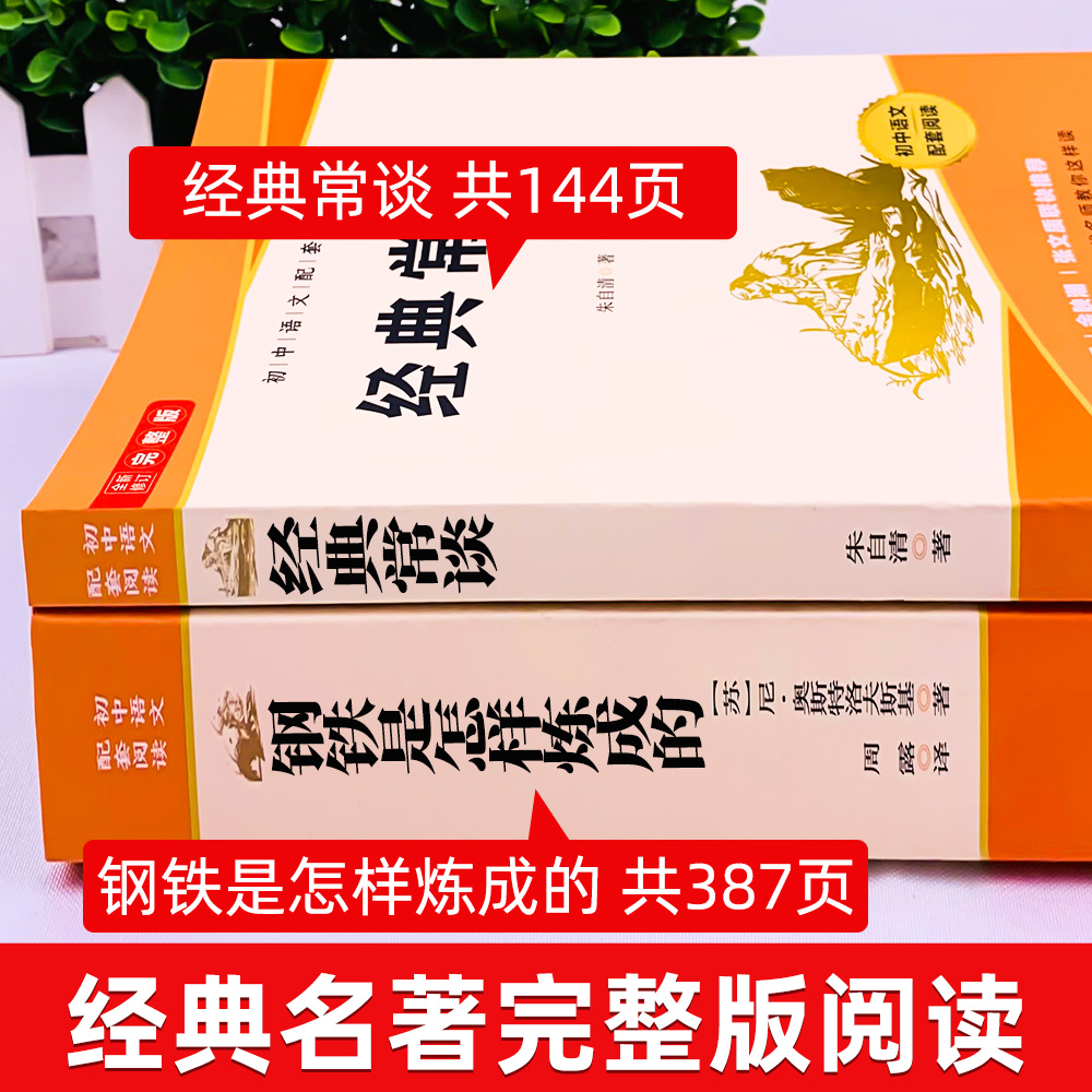 经典常谈朱自清和钢铁是怎样炼成的必读正版原著八年级下册课外书8下初中阅读名著书籍人民教育人教版怎么样练长谈-图2