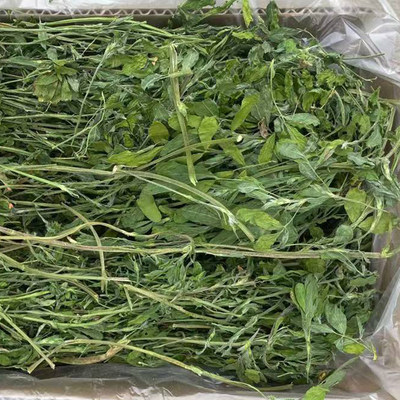 21年新苜蓿草大叶紫花苜蓿干草烘干苜蓿草500g箱装兔子牧草 虎窝淘