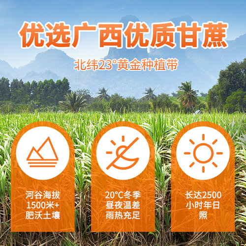 南字牌冰片糖黄片糖 广东木薯糖水黄糖煲汤酵素冰糖片糖块批发5斤 - 图3
