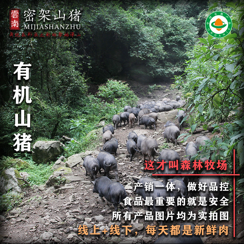 有机山猪土猪肉猪肉放养黑毛猪云南密架山猪前腿肉 1kg虎窝淘 