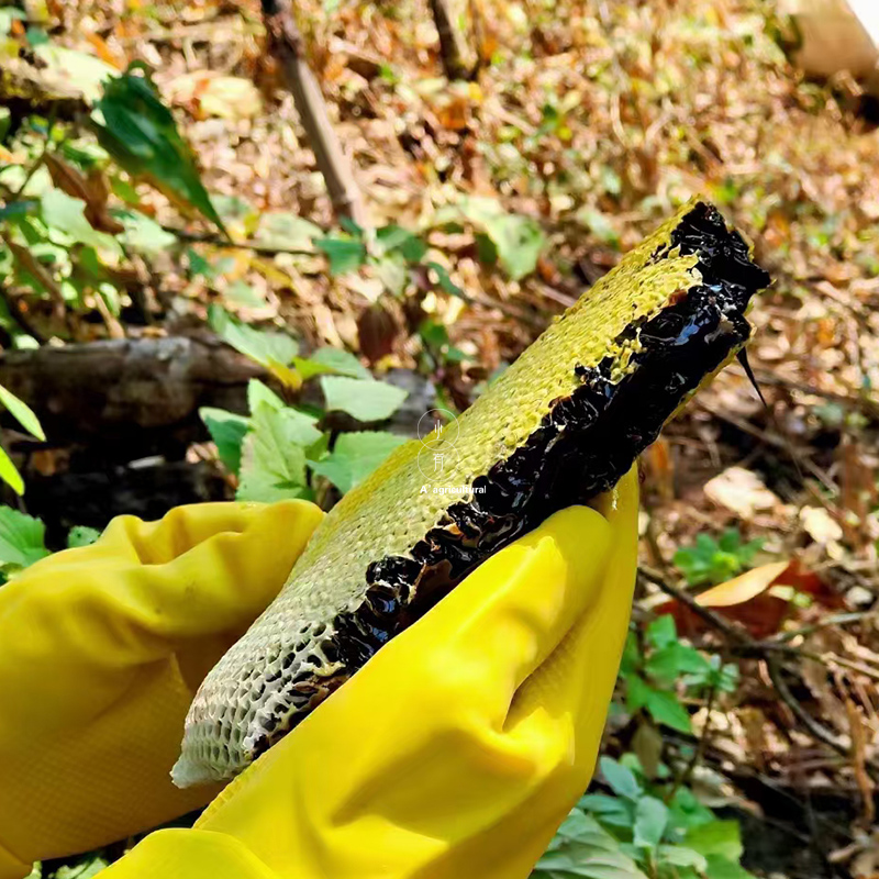 云南高山黑蜜米团花蜜土蜂蜜深山百花蜜药蜜一年只采一次一斤装-图0