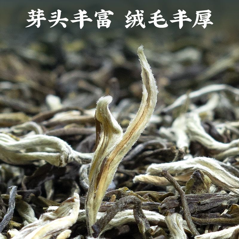 特级茉莉花茶叶新茶浓香型耐泡茉莉白毫香针广西横县香茶250g袋装