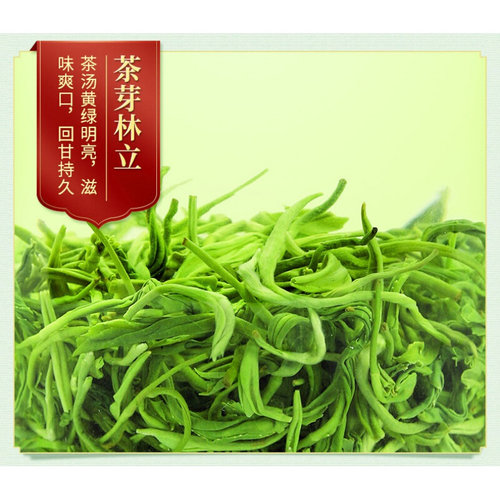 贵州毛尖茶2026新茶明前特级浓香型手工高山云雾绿茶散装茶叶500g - 图2