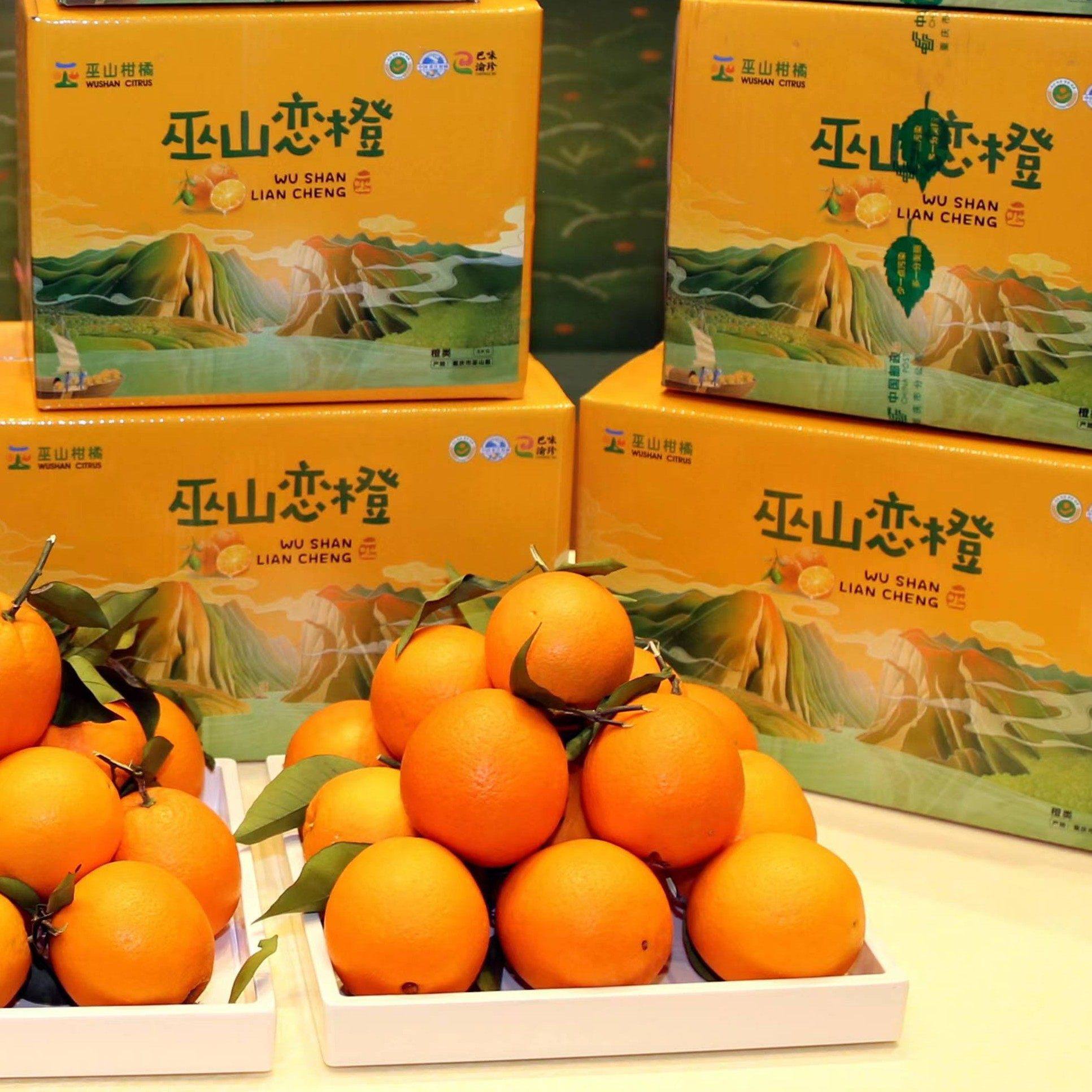 三峡柑橘巫山恋橙纽荷尔脐橙无籽柑橘产地现摘当季一整箱10斤大果,淘宝优惠券,粉丝福利购,淘宝优惠卷